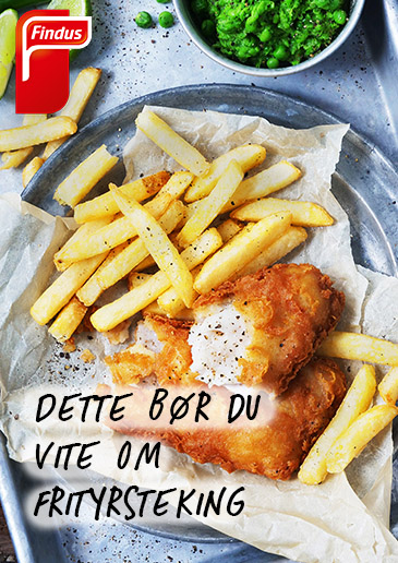 Brosjyreforside til frityrskolen 2020 med fish and chips i bakgrunnen